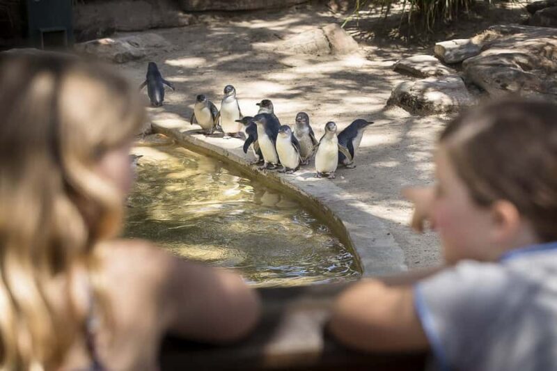 Adelaide Zoo: General Admission Tickets - What Makes Adelaide Zoo Special?