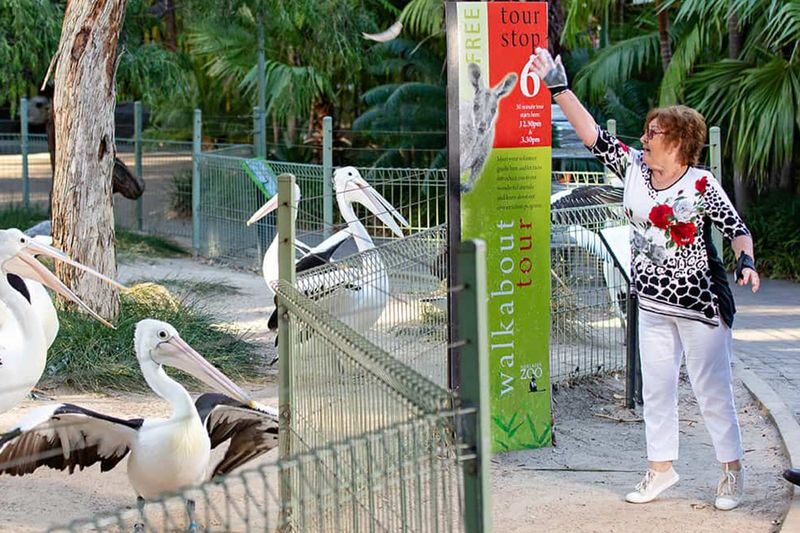 Adelaide Zoo: Keeper for a Day - Working alongside Adelaide Zoo’s keepers