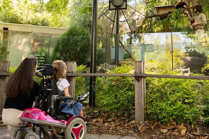Adelaide Zoo Panda and Friends Tour (with Entry) - Should you book Panda & Friends?