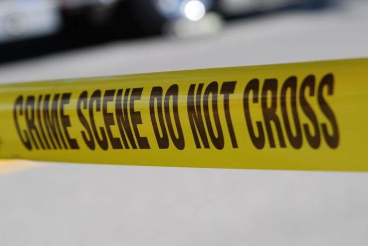 Adelaide's Dark Secrets: True Crime Walking Tours - Booking and Logistics