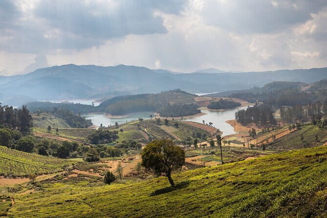 Adiyogi 3D Light Show  A Spectacle of Light, Sound - Coimbatore - FAQ