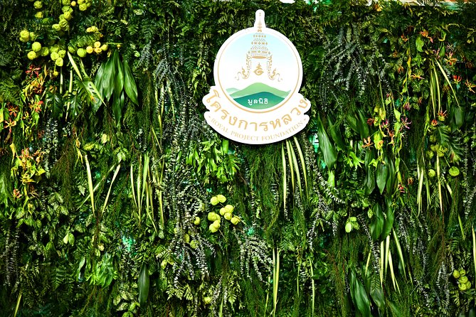 Admiring Natural Heights at Doi Inthanon - The Sum Up