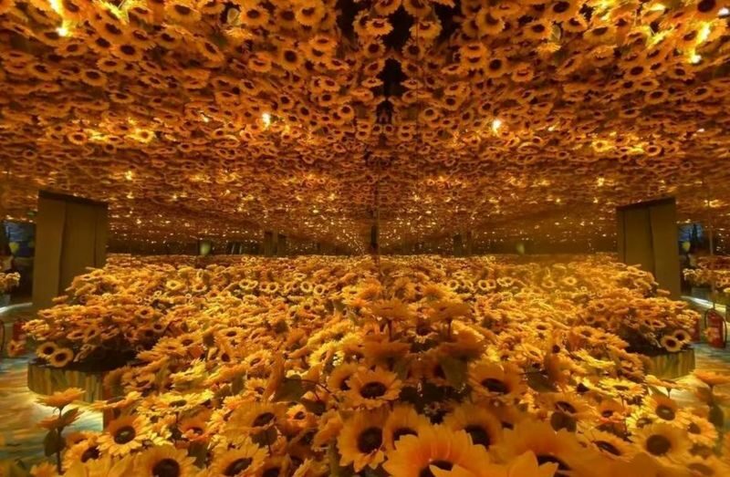 Admission Ticket for Hangzhou Van Gogh Starry Sky Art Museum - Follow the light through the tunnel and maze