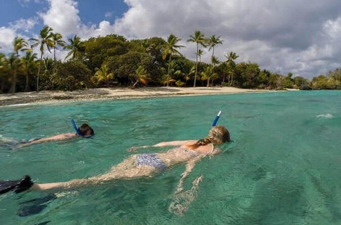 Admission Ticket to Coral World & Coki Point Beach with Snorkeling - Who Will Love This Tour?