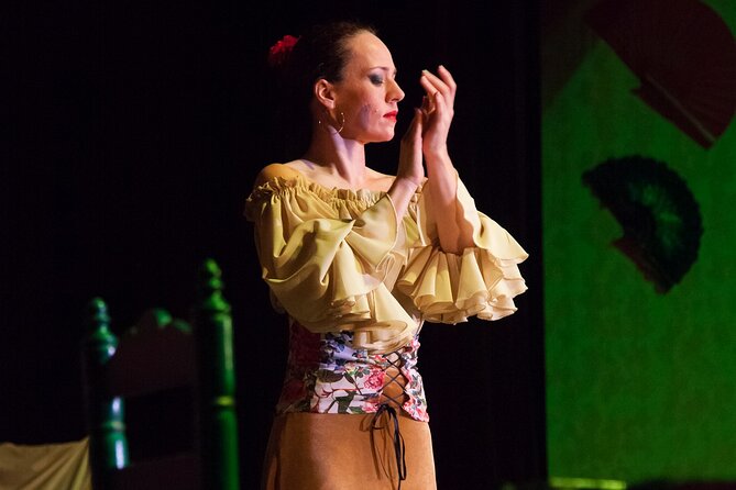 Admission Ticket to Intimate Flamenco Show - The Sum Up