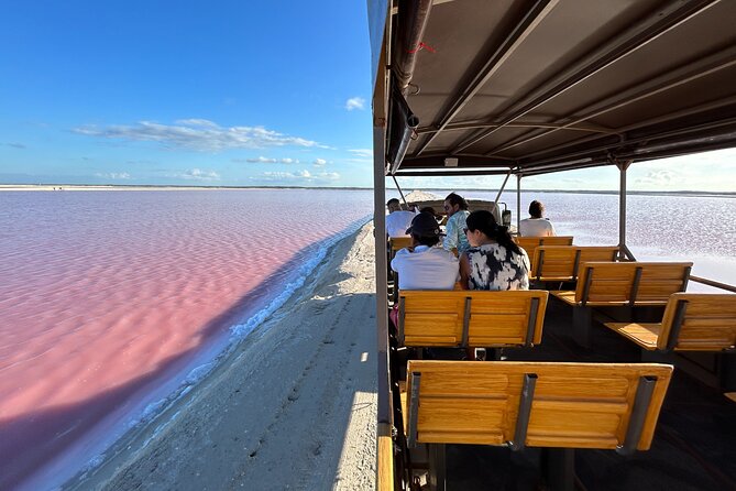 Admission Ticket to Safari in the Pink Lagoons of Las Coloradas - Reviews and Ratings