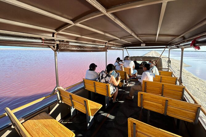 Admission Ticket to Safari in the Pink Lagoons of Las Coloradas - Questions and Support