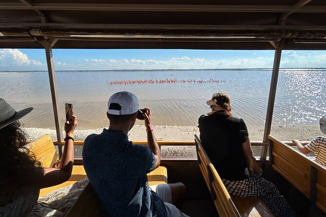 Admission Ticket to Safari in the Pink Lagoons of Las Coloradas - Pricing Options