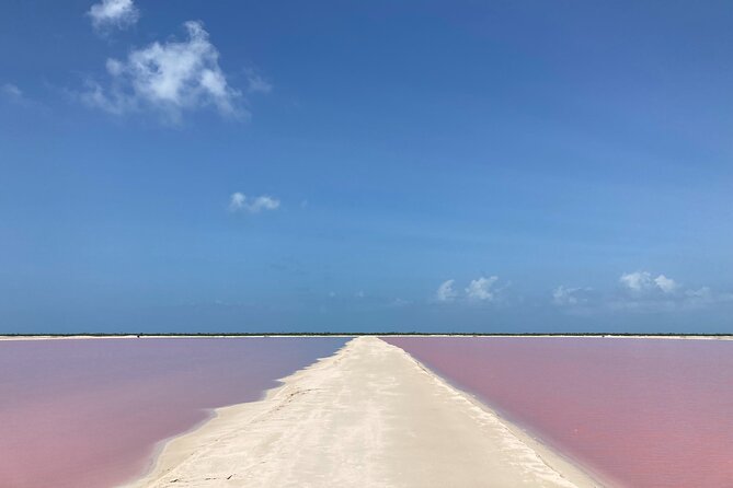 Admission Ticket to Safari in the Pink Lagoons of Las Coloradas - Terms and Conditions