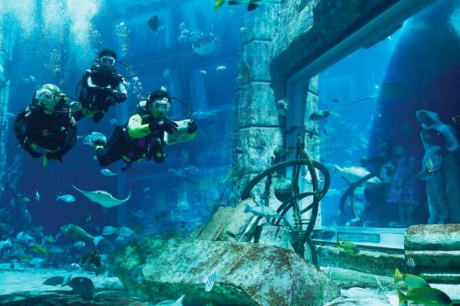 Admission Tickets to Aquaventure and Lost Chambers Aquarium - Questions and Additional Information