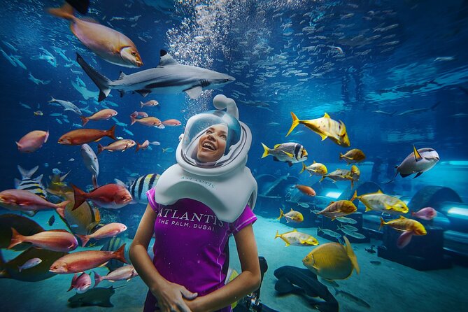 Admission Tickets to Aquaventure and Lost Chambers Aquarium - Miscellaneous Information