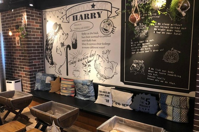 Admission to Hedgehog Cafe in Harajuku - Confirmation and Accessibility
