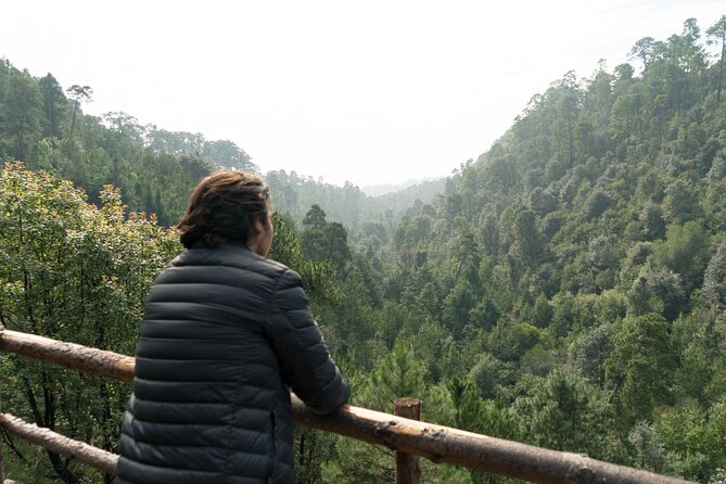 Admission to the Alpinia Nature and Adventure Park - Contact Information