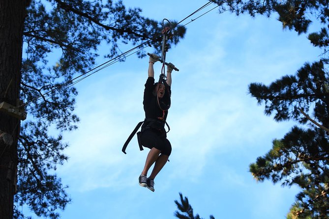 Adrenalin Forest Obstacle Course in Christchurch - Overview and Experience