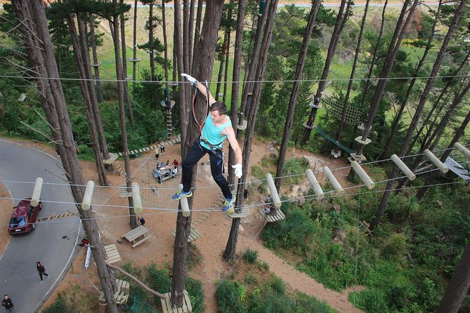 Adrenalin Forest Obstacle Course in Christchurch - Meeting and Pickup