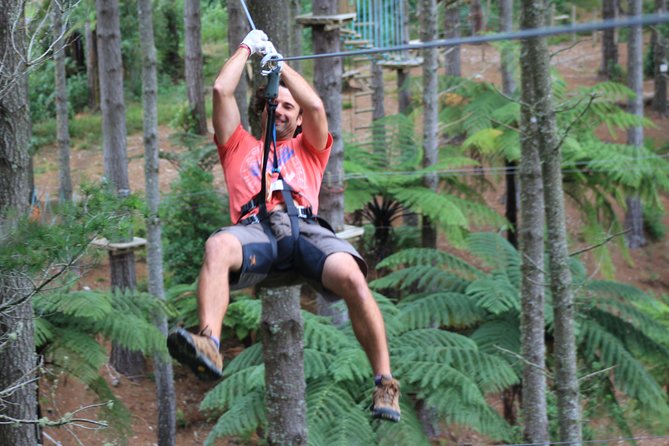 Adrenalin Forest Obstacle Course in the Bay of Plenty - Transportation To/From Attractions