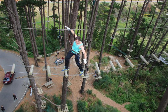 Adrenalin Forest Obstacle Course in the Bay of Plenty - Minimum Height Requirement