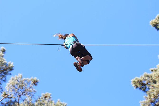 Adrenalin Forest Obstacle Course in Wellington - Inclusions and Requirements