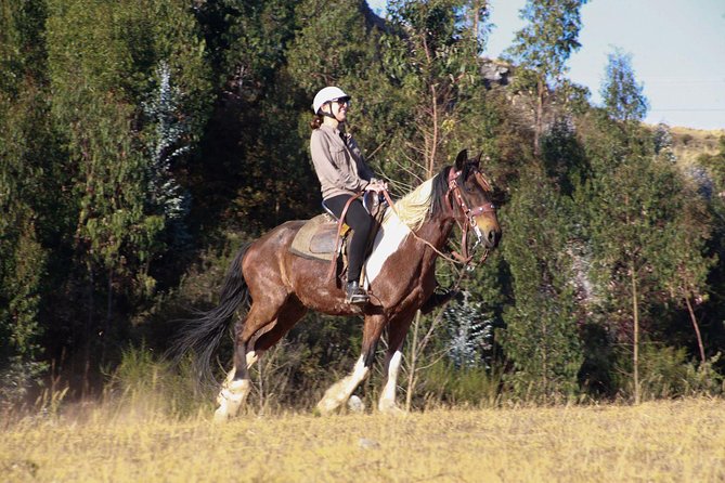 Adrenalin Mistyc Tour "full Service" - Tour Details and Highlights