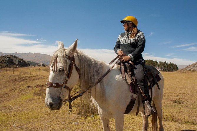 Adrenalin Mistyc Tour "full Service" - Reviews and Customer Support