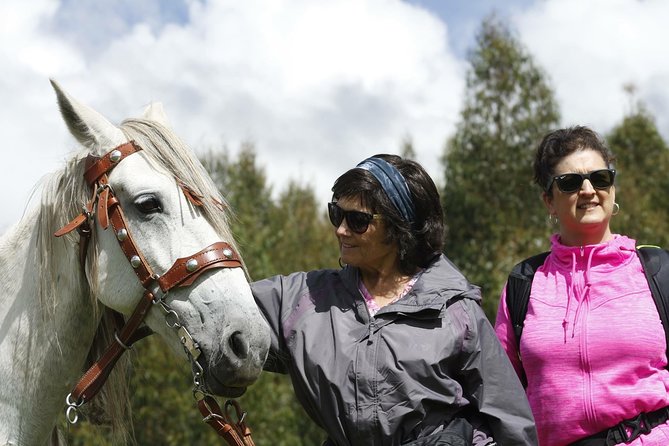 Adrenalin Mistyc Tour "full Service" - Common Questions