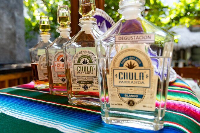 Adrenaline Adventure Puerto Morelos - What to Expect from the Tour