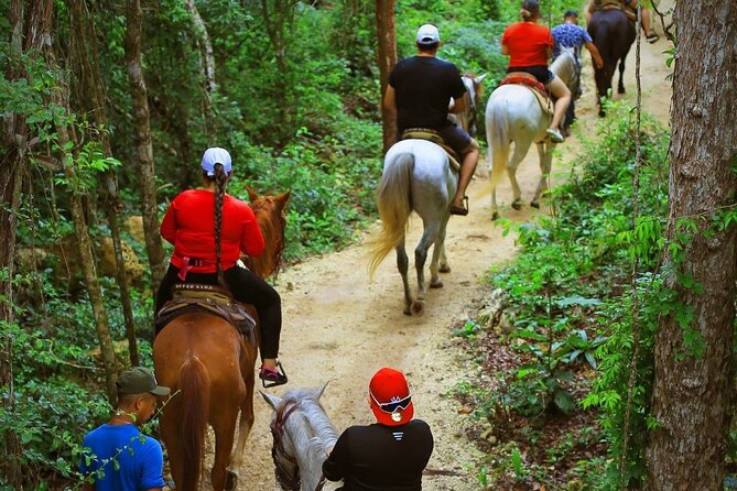 Adrenaline ATV, Cenote and Zip Lines Experience - Directions