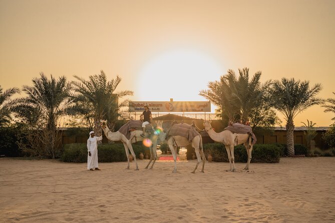 Adrenaline Combo : Desert Activities ATV or Quad Bike Option - Safety Measures for ATV or Quad Bike Riding