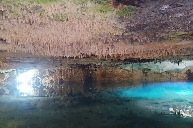 Adrenaline Full Day at Riviera Maya to our Ecological Park - The Sum Up