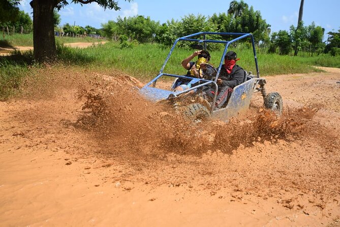 Adrenaline in Buggies for Half-Day Groups - Pricing and Booking Information