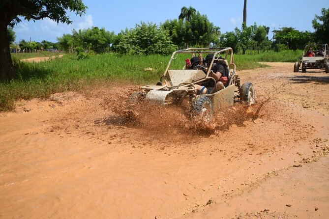 Adrenaline in Private Buggy in Macao and River Cave - Tour Highlights