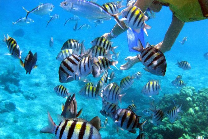 ADRENALINE PACKAGE: ATV Offroad Experience & Catamaran Cruise With Snorkeling - Common Questions