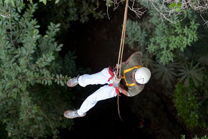 Adrenaline Pumping Black Hole Drop: Rappelling at Ian Andersons Caves Branch - Location and Experience Overview