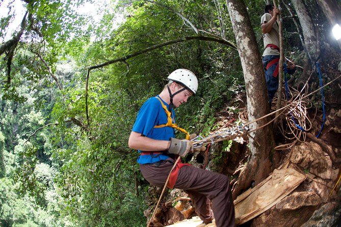 Adrenaline Pumping Black Hole Drop: Rappelling at Ian Andersons Caves Branch - Booking Information and Guarantee