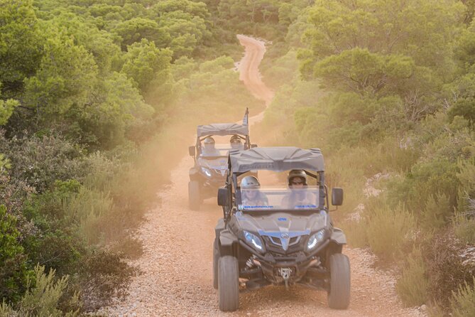 Adrenaline Quad Safari Tour - Tour Overview