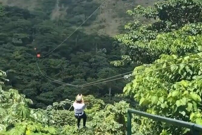 Adrenaline Total: Zipline Tour in Punta Cana - Authentic Experiences and Honest Opinions from Travelers