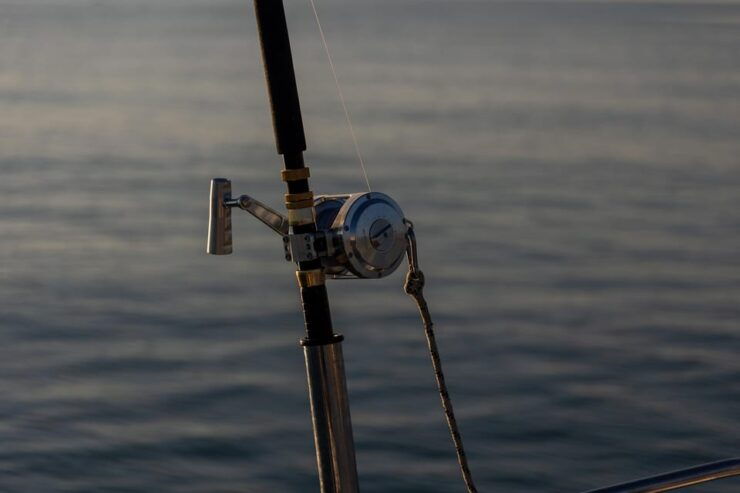 Adriatic Tuna Fishing Adventure With Nautica Massetti - Experience and Highlights