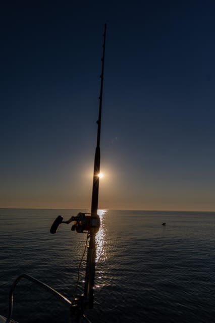 Adriatic Tuna Fishing Adventure With Nautica Massetti - Itinerary and Activities