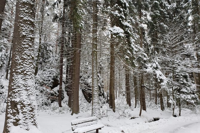 Adrspach Teplice Rocks Filming Site of The Chronicles of Narnia - Visitor Reviews
