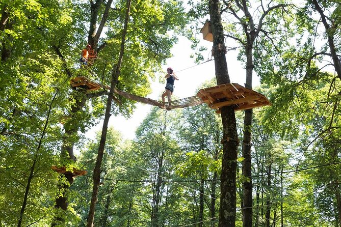Adulto Biglietto Giornaliero per Adventure Park a Gravedona - Terms & Conditions