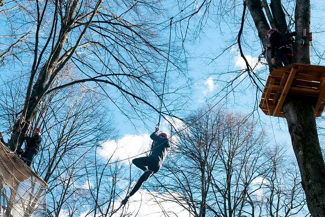 Adulto Biglietto Giornaliero per Adventure Park a Gravedona - The Sum Up