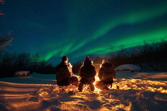 Adults Only Aurora Hunt Tour With Citizen Science in Tromso - Questions and Additional Information
