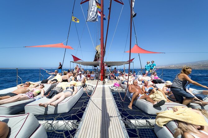 Adults Only Tenerife Freebird Whale Dolphin Catamaran With Lunch - Reviews