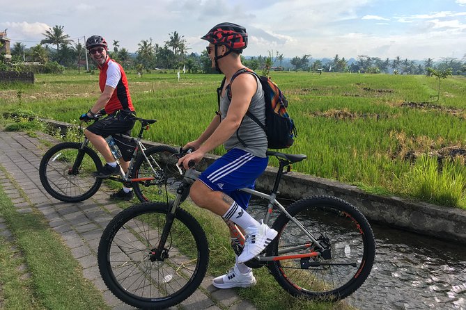 Advanced Cycling Adventure Above Ubud: Jungle Trek/Bali Waterfall/Hidden Canyon - Activity Overview