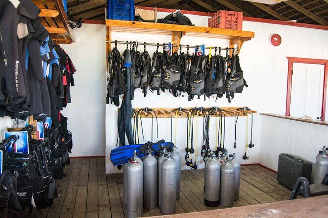 Advanced Open Water Diver - Bávaro - Day 1: Foundations and First Dives