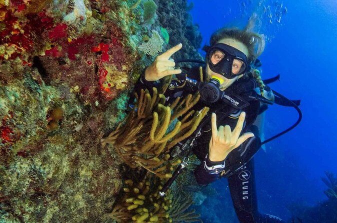 Advanced Open Water Diver - Bávaro - Knowledgeable Guides and Safety Focus