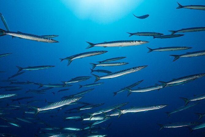 Advanced Open Water Diver Course - Course Overview