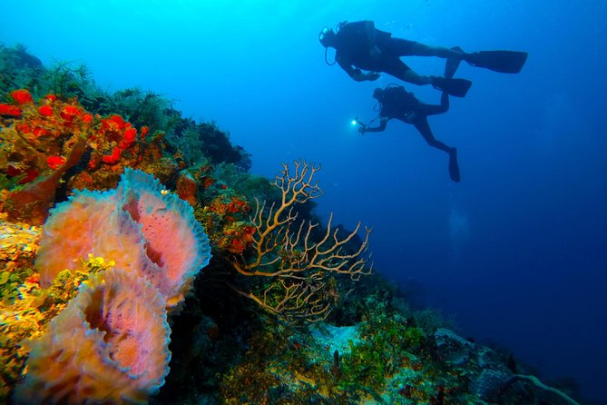 Advanced Open Water Diver Course PADI in Playa Del Carmen - What to Bring and Wear