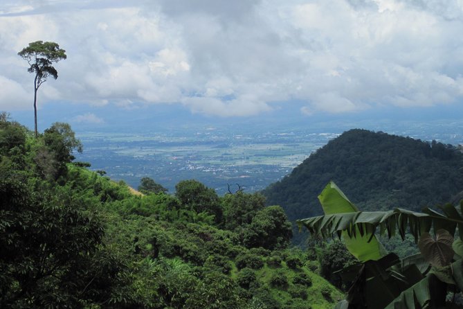 Advanced XC Downhill Biking, Doi Suthep National Park, Chiang Mai - Transportation and Logistics