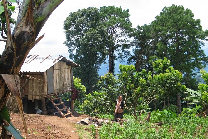 Advanced XC Downhill Biking, Doi Suthep National Park, Chiang Mai - The Sum Up